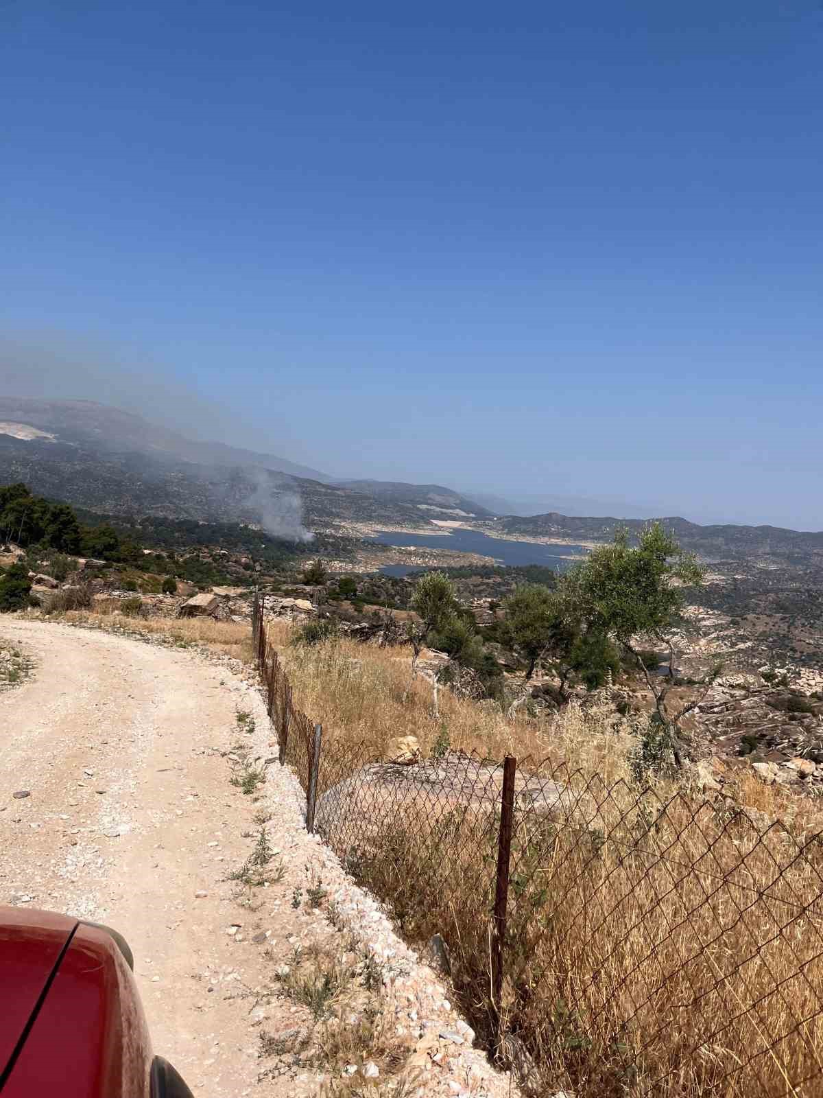 Orman yangını büyümeden söndürüldü 