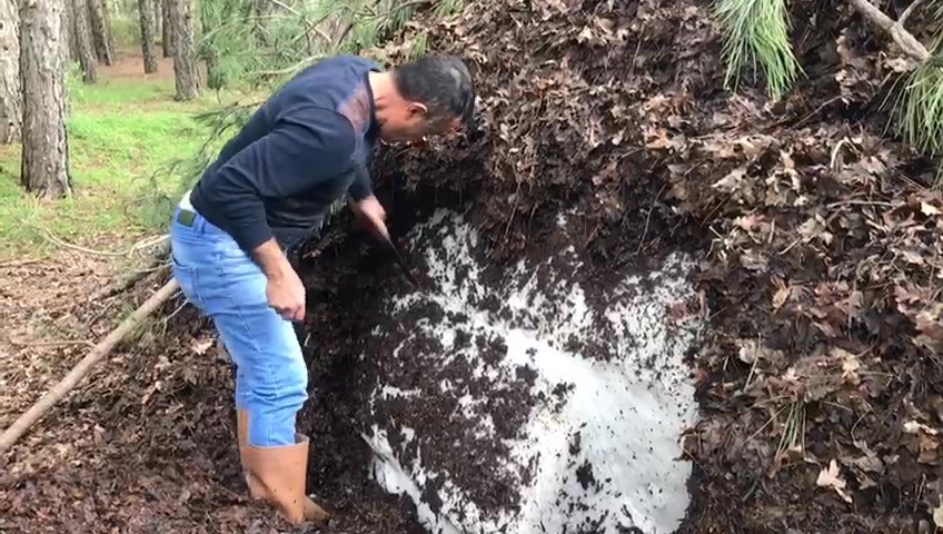 Dağların zirvesinde depolanan kar, Haziran sıcağında serinliğe dönüştü 