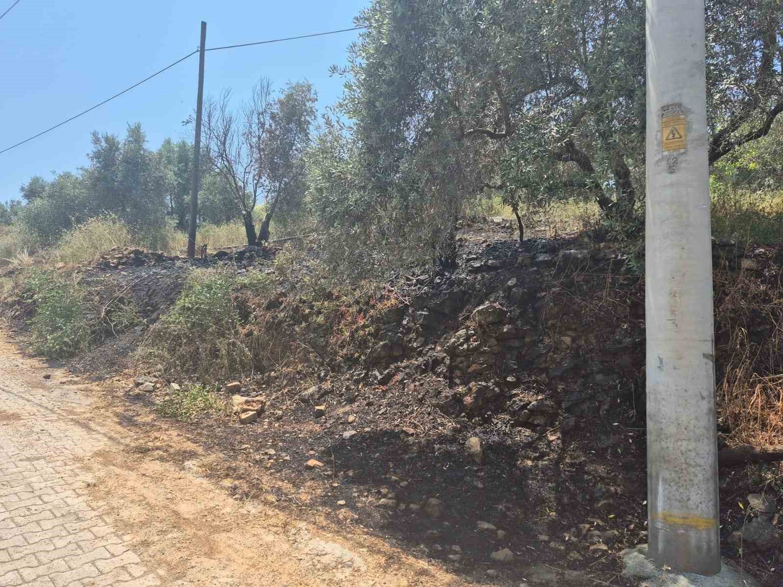 Ula’da yol kenarında çıkan yangın korkuttu 