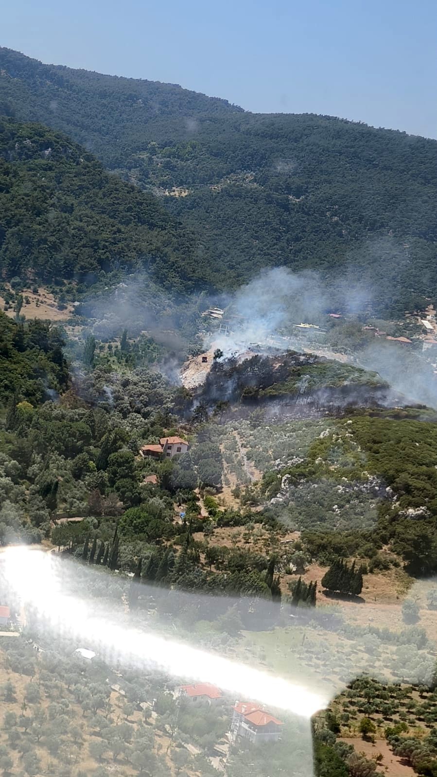 İzmir Kemalpaşa’da orman yangını 