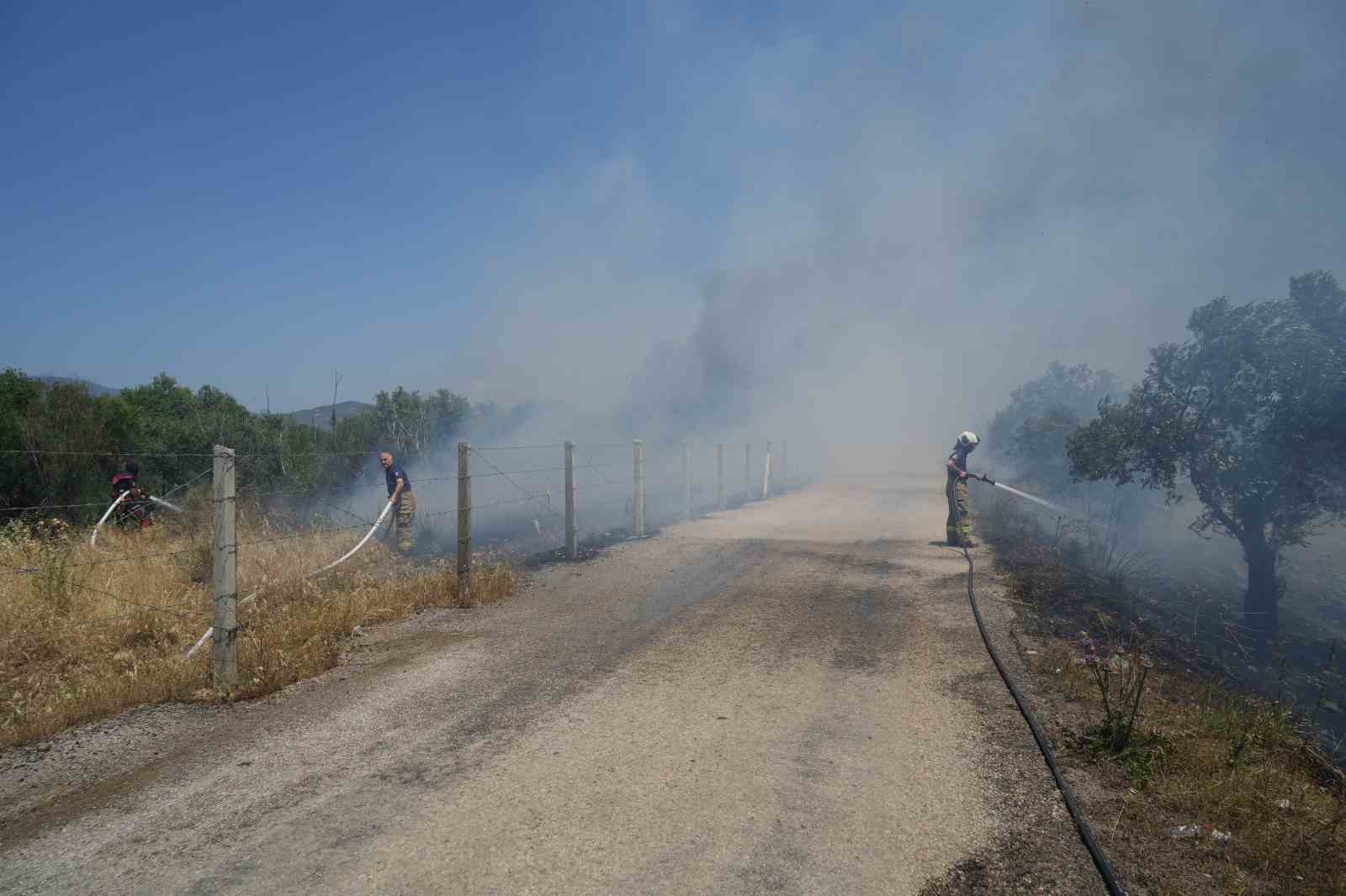 Zeytinlik alandaki yangın kısmen kontrol altına alındı 