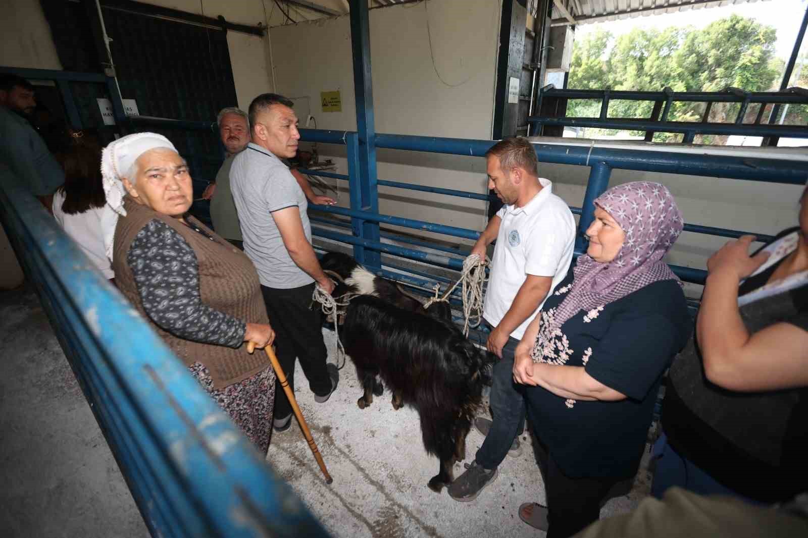 Büyükşehir Mezbahaları Bayramda tam kapasite çalıştı 