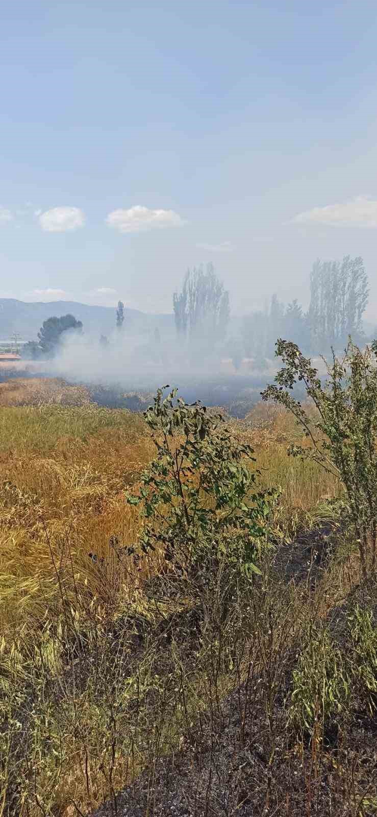 Burdur’da çıkan yangında 3 dönüm ekili alan zarar gördü 