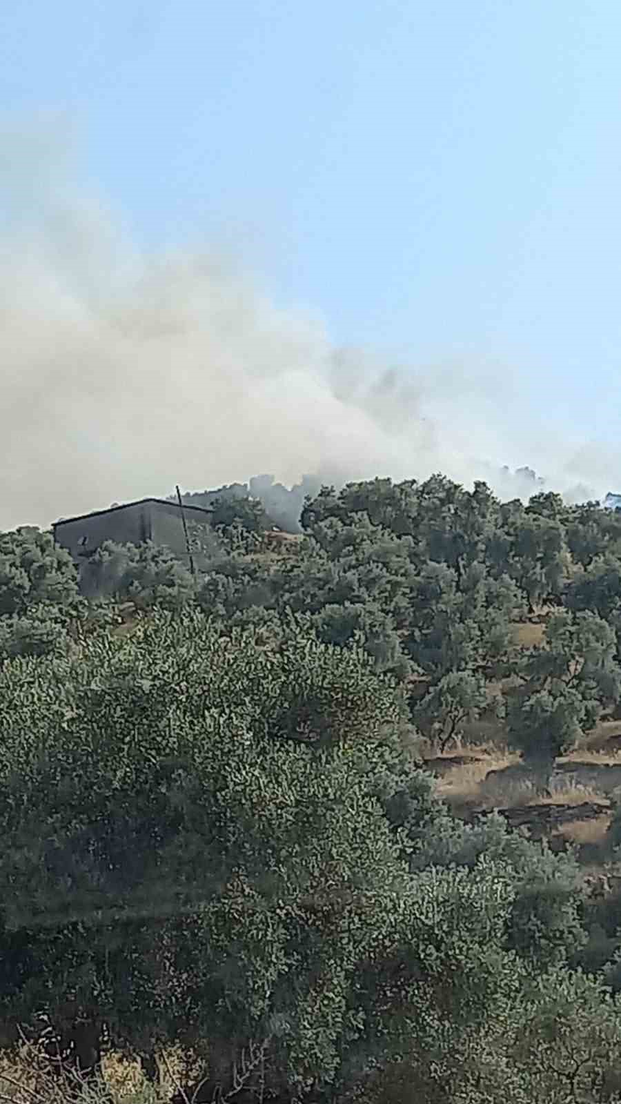 Koçarlı’daki zeytinlik yangını kontrol atına alındı 