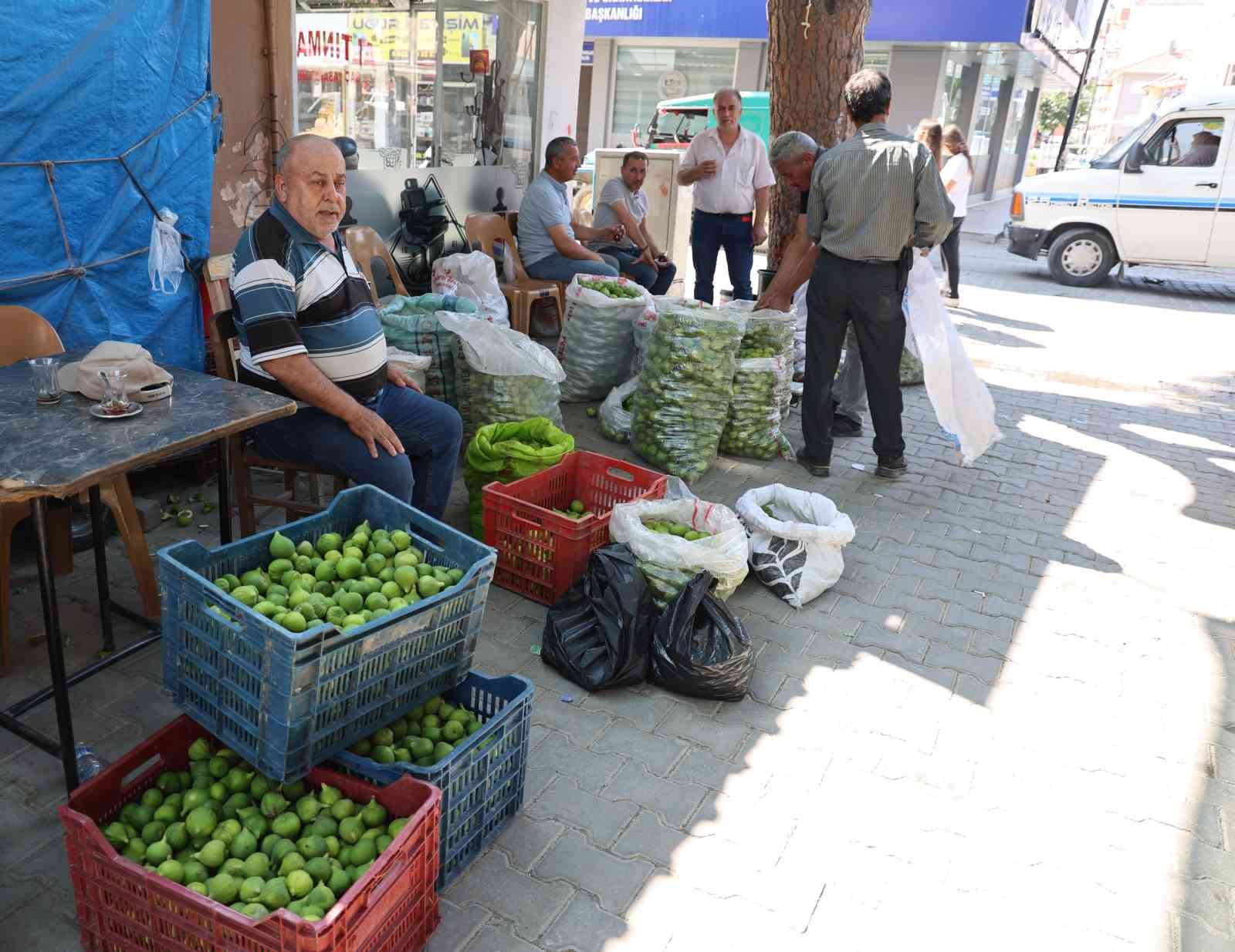 Aydın incirinde ’ilekleme’ sezonu başladı 