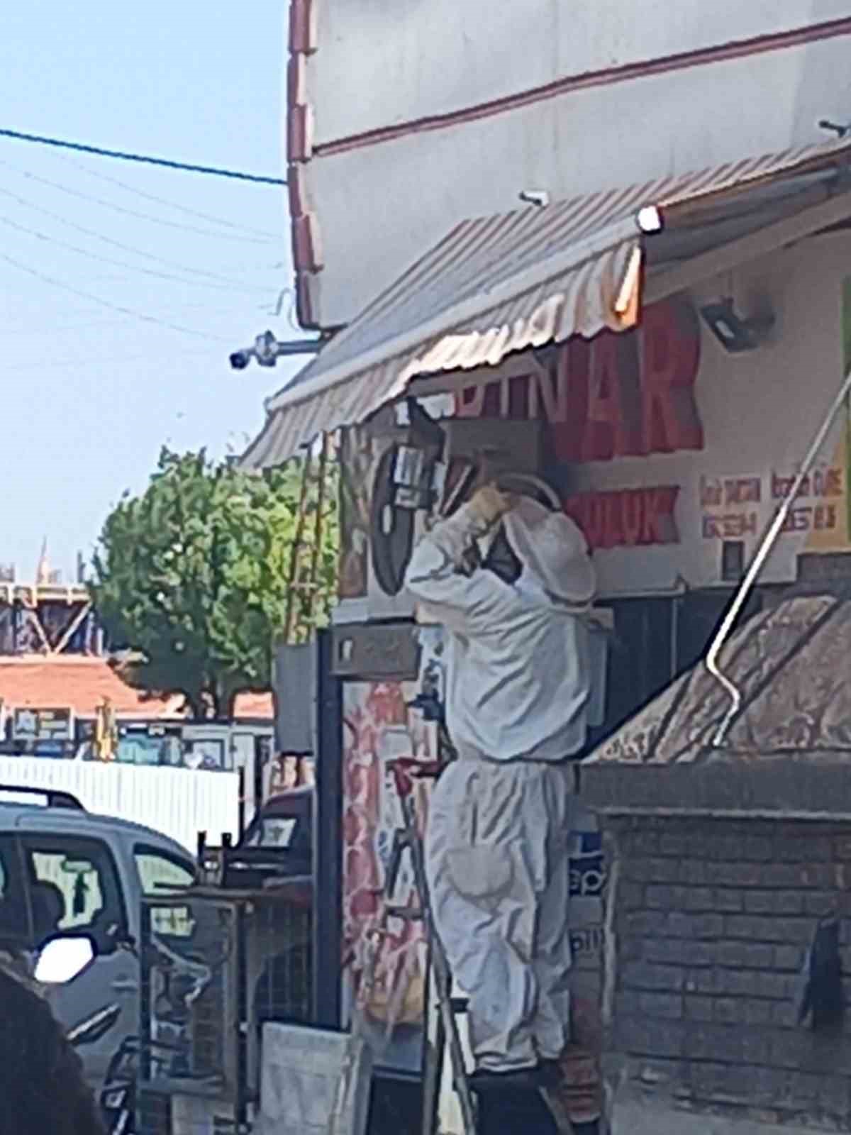Karapınar’da arı paniği 