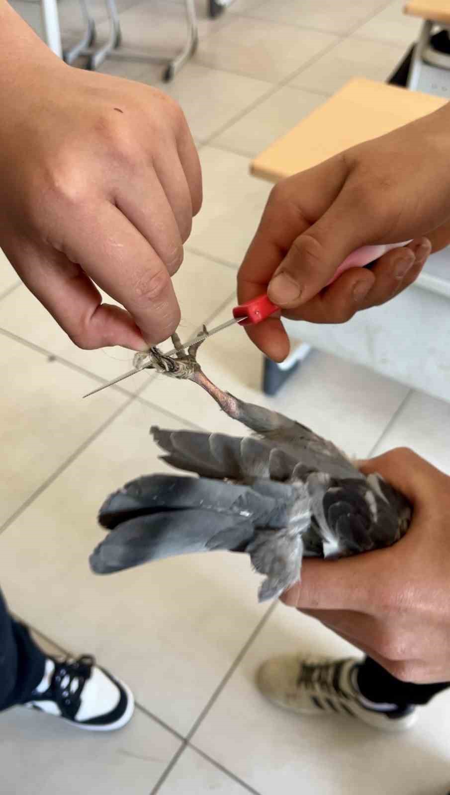 Türkeli Anadolu İHL öğrencilerinden örnek davranış 