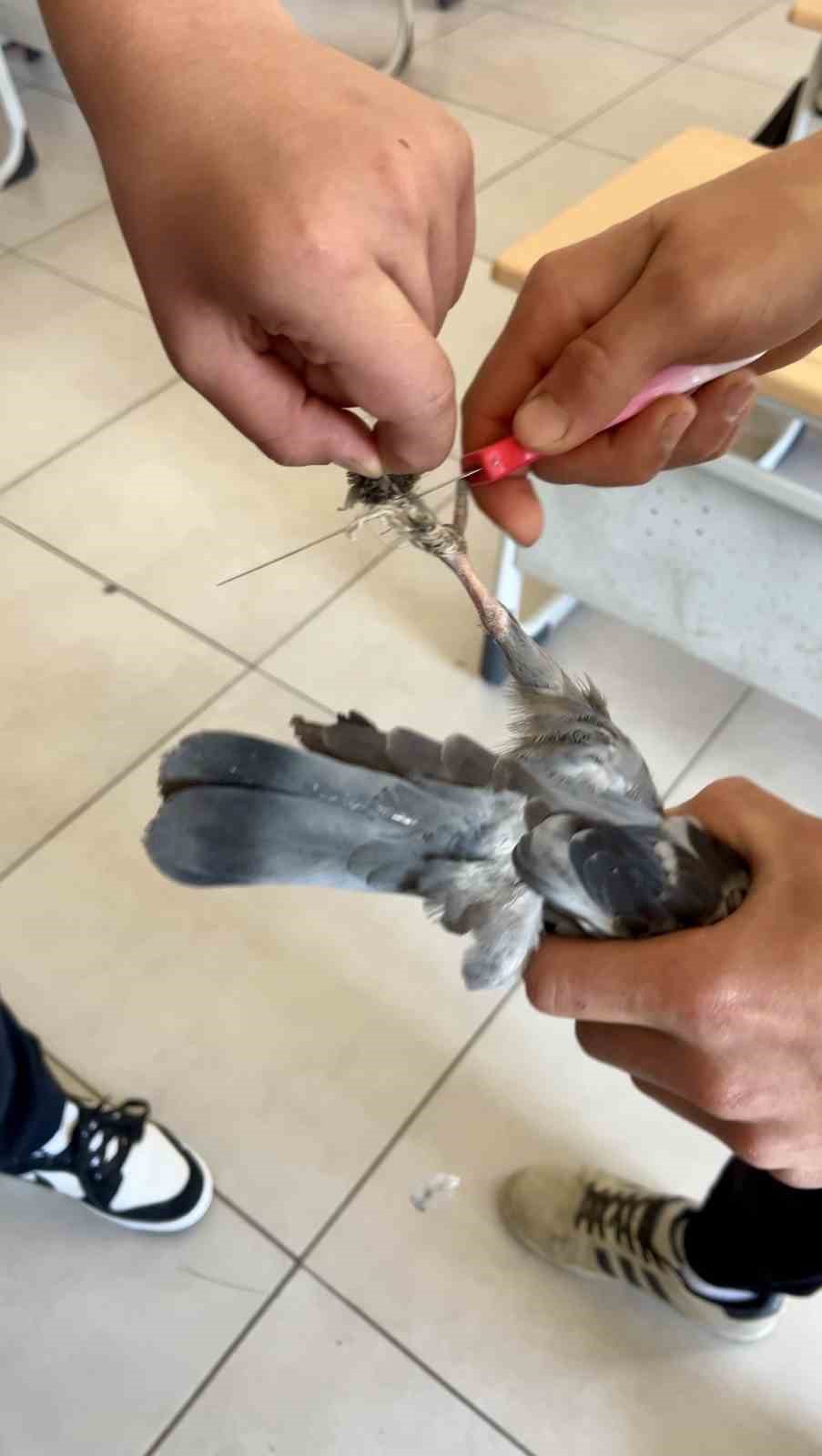 Türkeli Anadolu İHL öğrencilerinden örnek davranış 