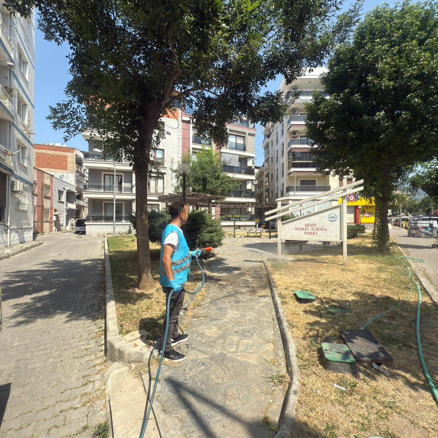 Söke’de park ve bahçelerde ’kene’ mücadelesi 
