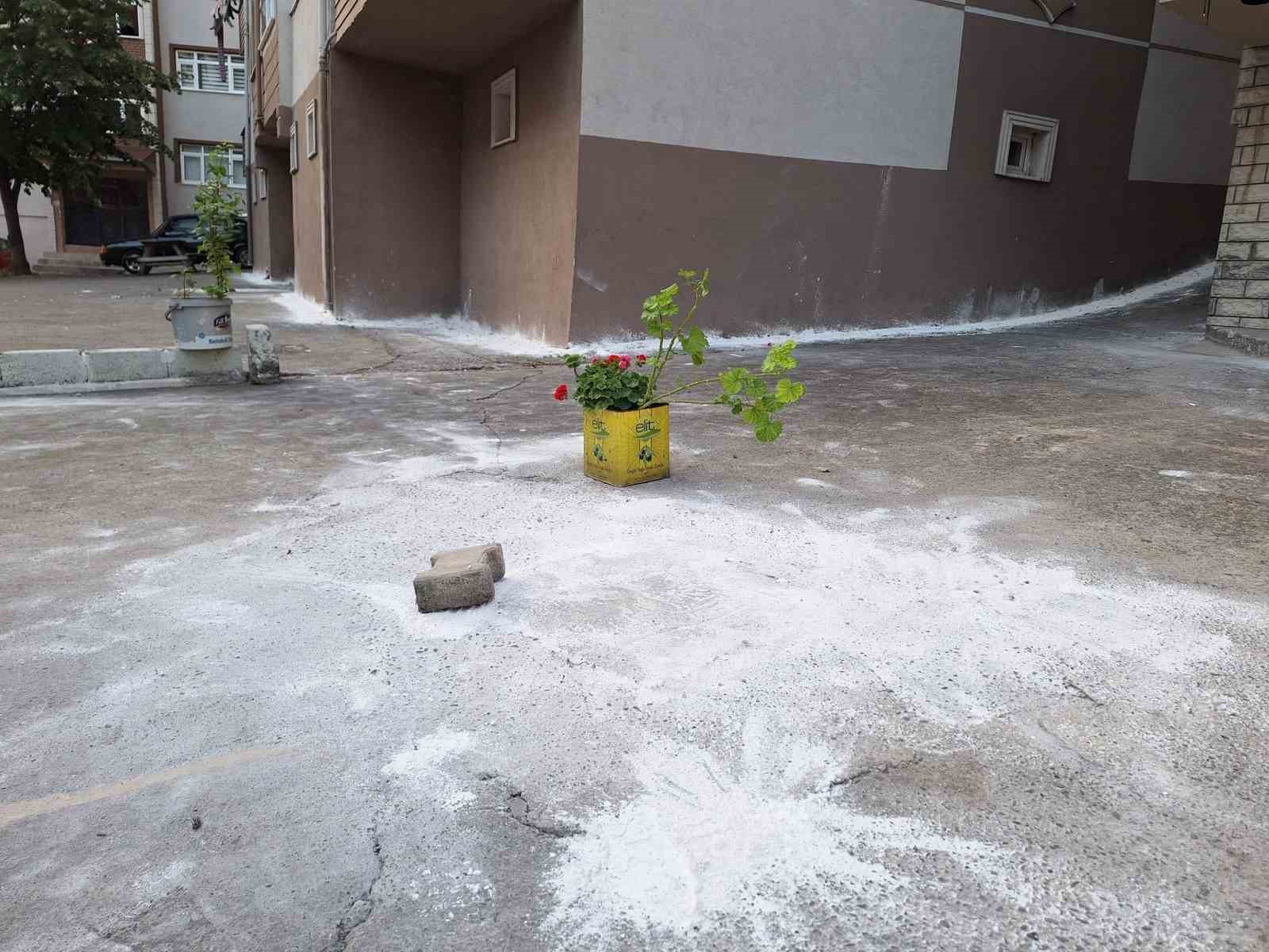 Mahalleyi böcekler bastı, vatandaşlar tedirgin oldu 