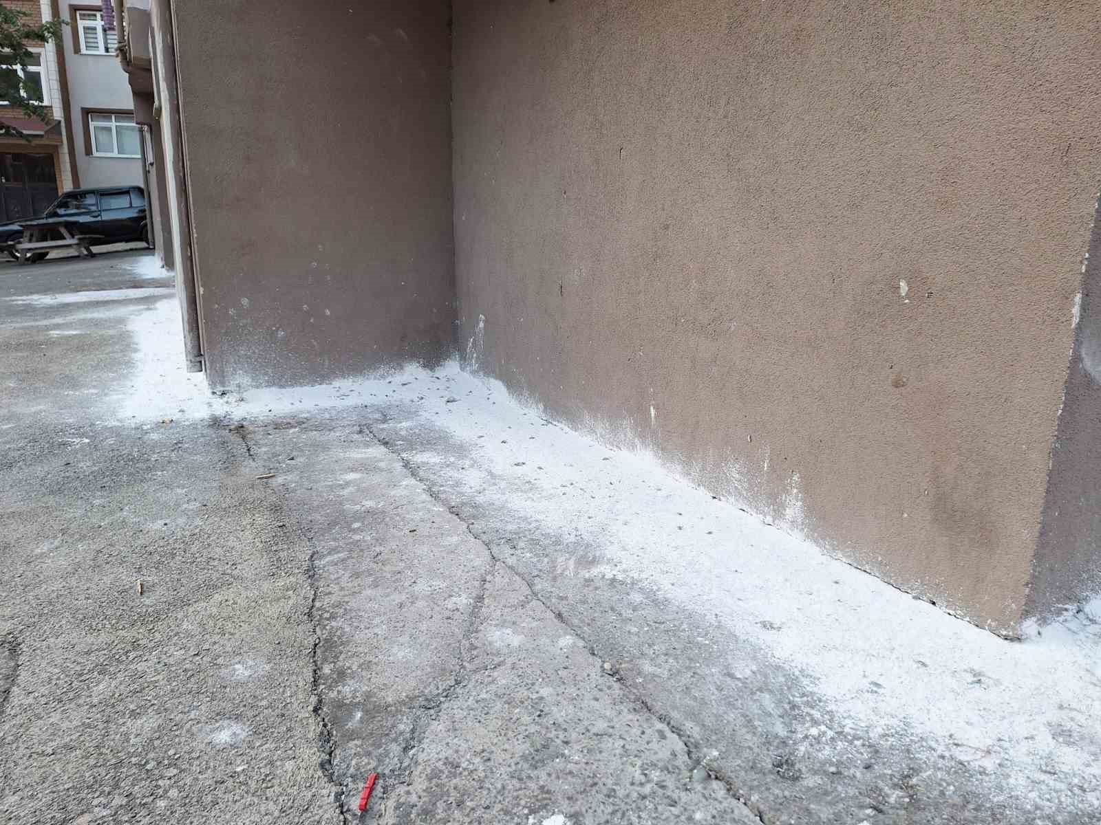 Mahalleyi böcekler bastı, vatandaşlar tedirgin oldu 