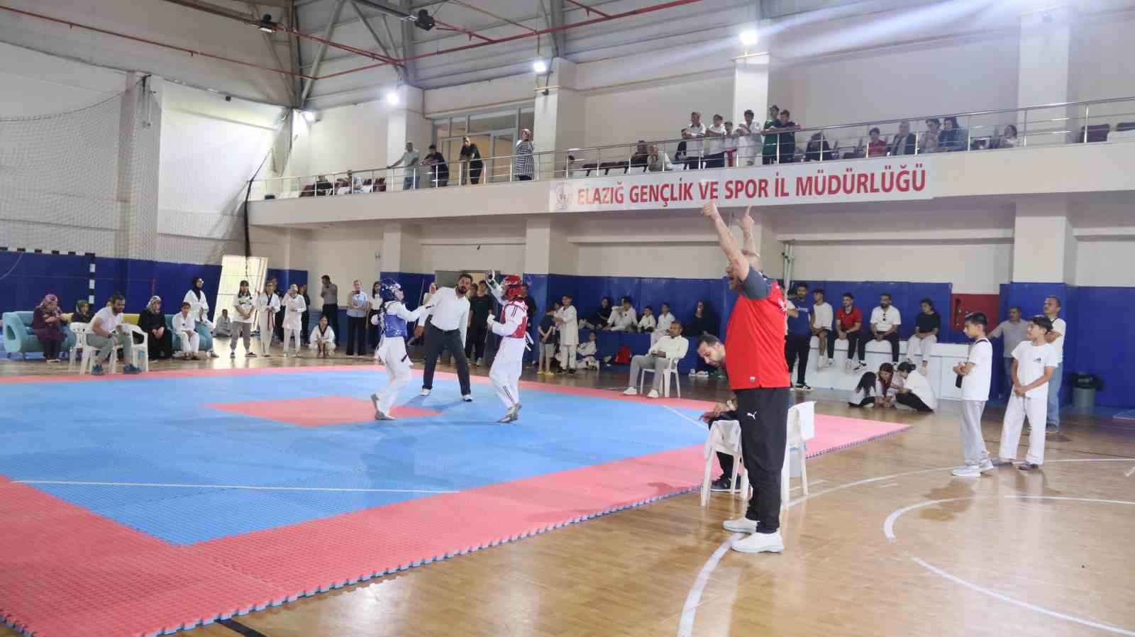 Elazığ’da taekwondo heyecanı 