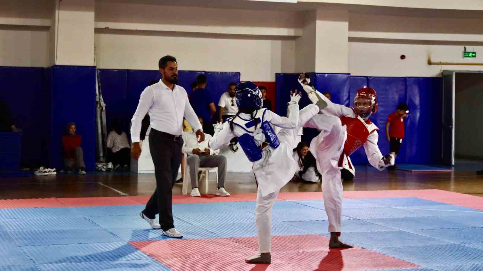 Elazığ’da taekwondo heyecanı 