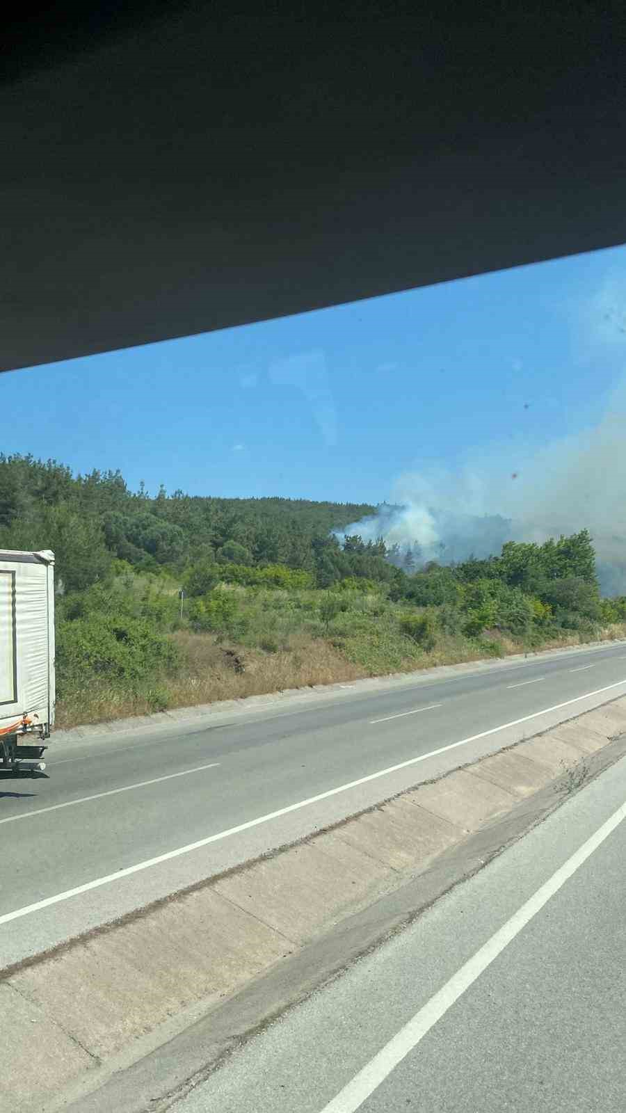 Lapseki’deki orman yangınına havadan ve karadan müdahale ediliyor 