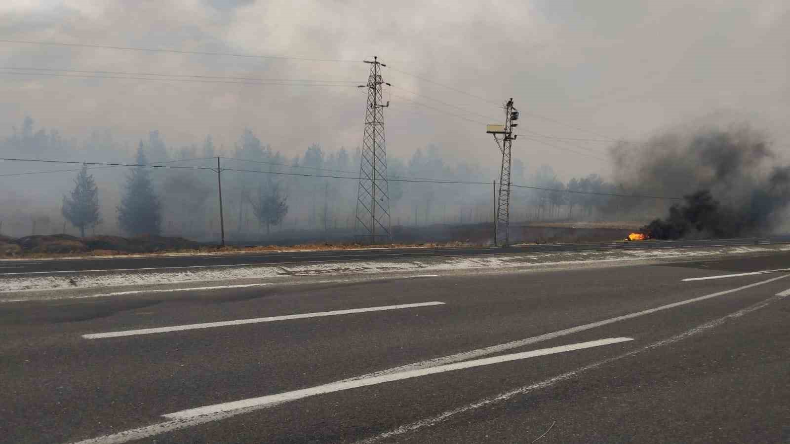 Şanlıurfa’da orman yangını: Alevlerin petrol istasyonuna sıçramaması için seferber oldular 