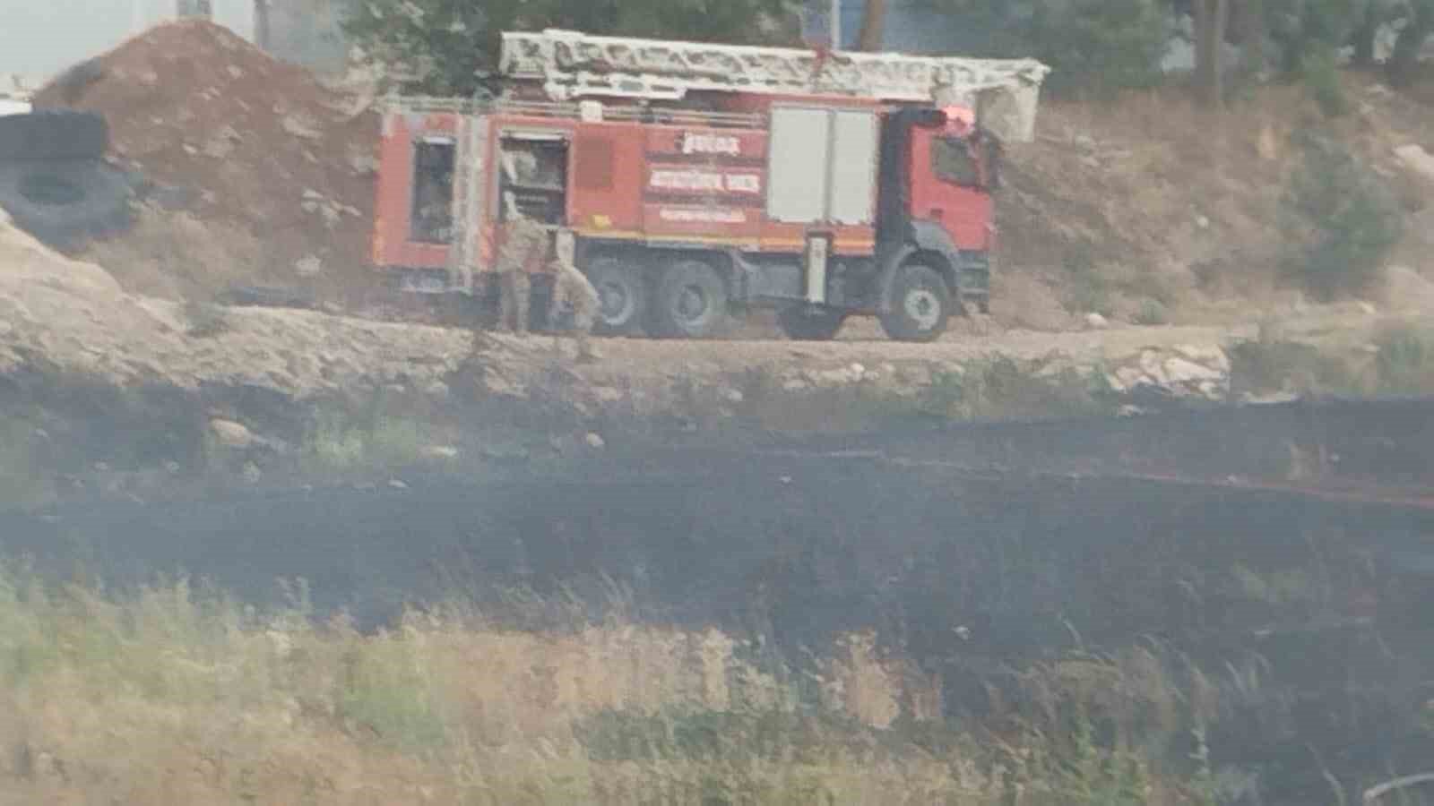Şanlıurfa’da orman yangını: Alevlerin petrol istasyonuna sıçramaması için seferber oldular 