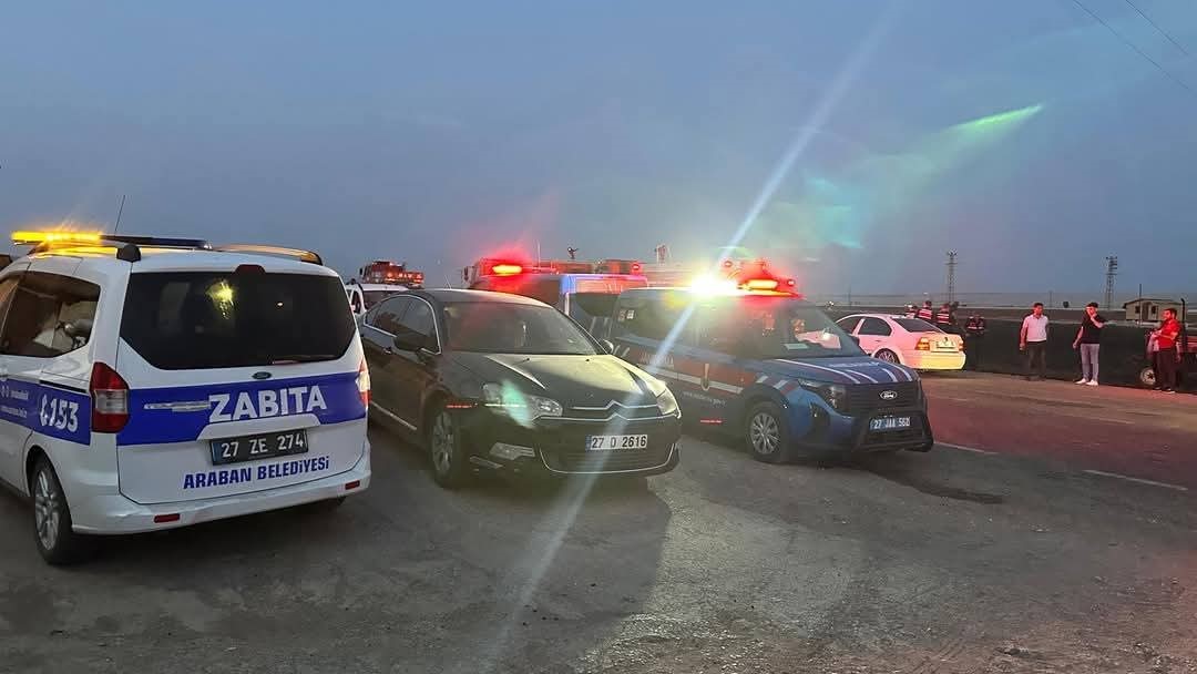 Araban Ovası’nda 8 ayrı noktada 2 bin dönüm ekili alan yandı 