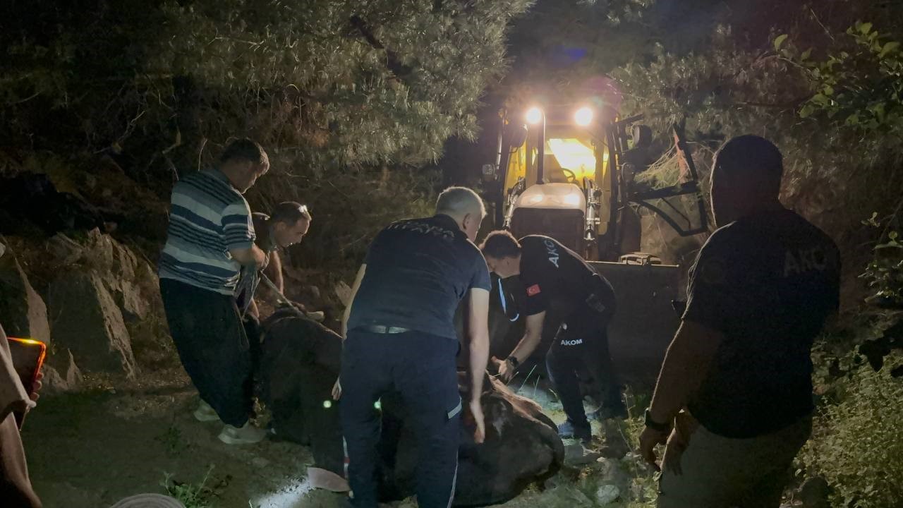 Kuyuda bulunan kayıp inek saatler süren çalışmayla kurtarıldı 