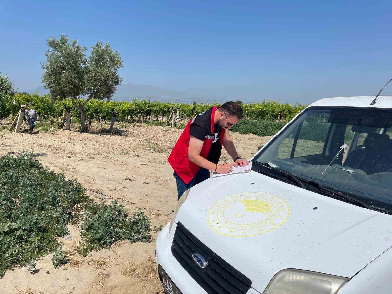 Hasat öncesi pestisit denetimi 