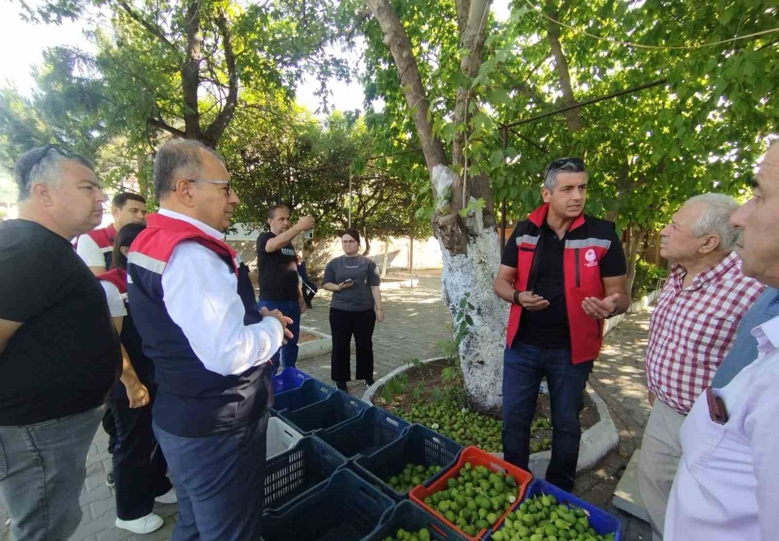 Germencik’te ilek tezgahları denetlendi 