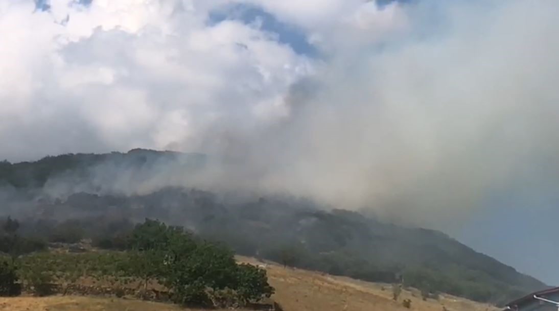 Niksar’da orman yangını, ekiplerin müdahalesi sürüyor 