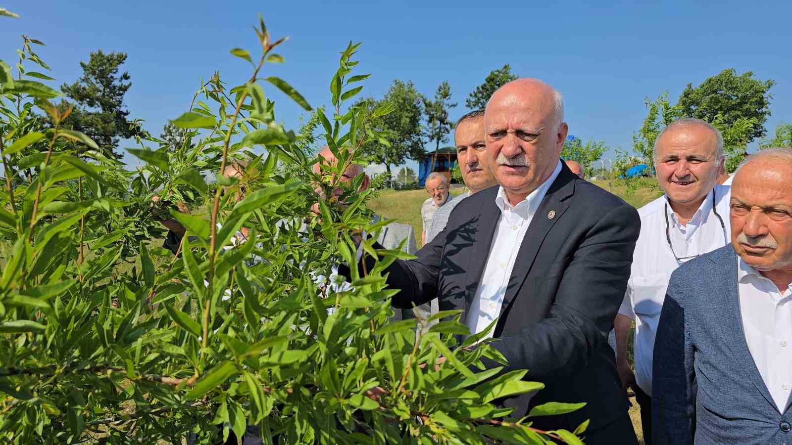 TZOB Genel Başkanı Bayraktar, Karabük’te zirai dondan etkilenen tarlaları inceledi 