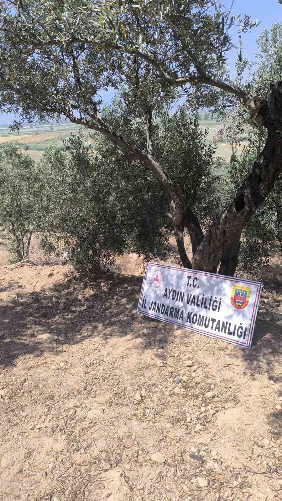 Kaçak kazı yapan 6 şüpheli suçüstü yakalandı 
