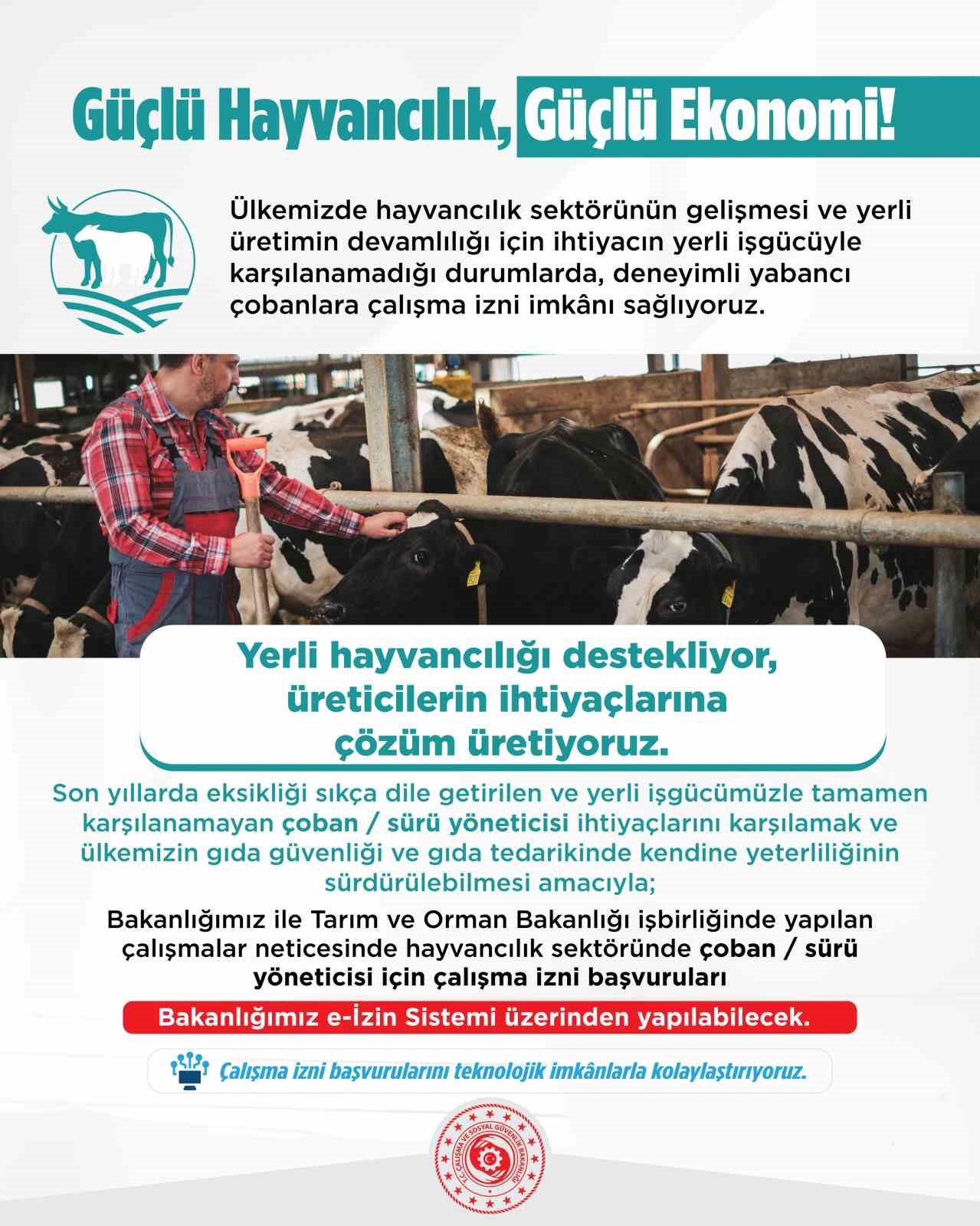 Yabancı çobanlar için çalışma izni başvuruları başladı