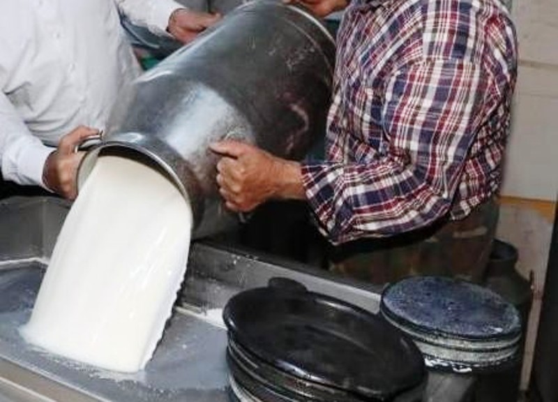 Ticari süt işletmelerince 981 bin 10 ton inek sütü toplandı