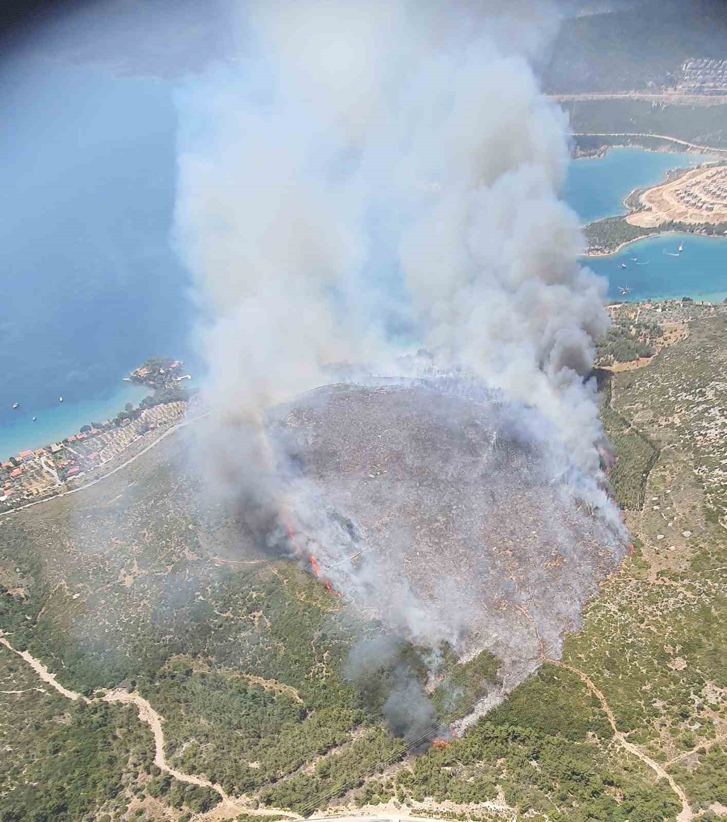 İzmir’de çıkan orman yangınına havadan ve karadan müdahale başladı 