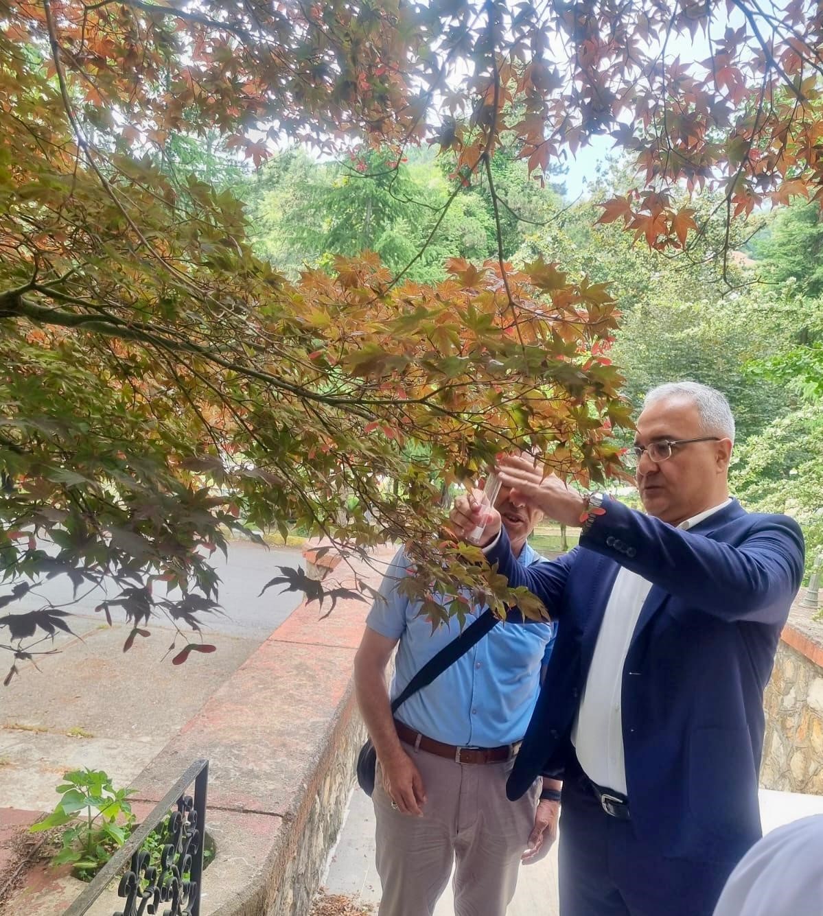 Yalova’da kahverengi kokarcaya karşı samuray arılar doğaya salındı 
