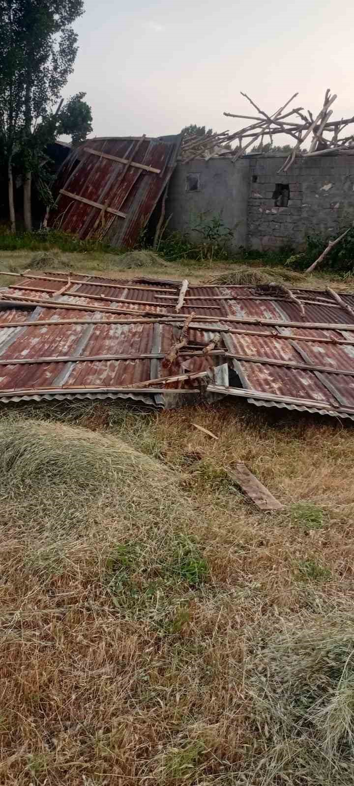 Muş’ta fırtına ağaçları ve elektrik direklerini devirdi 