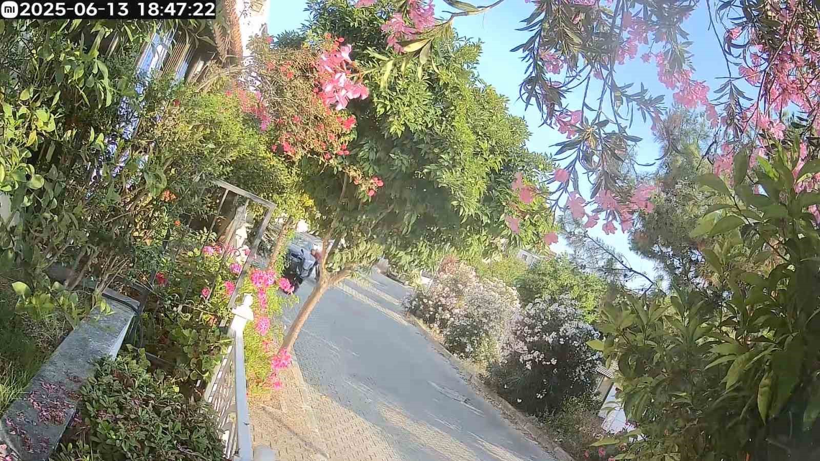 Kontrolden çıkan motosiklet park halindeki araçlara çarptı: 1 yaralı 