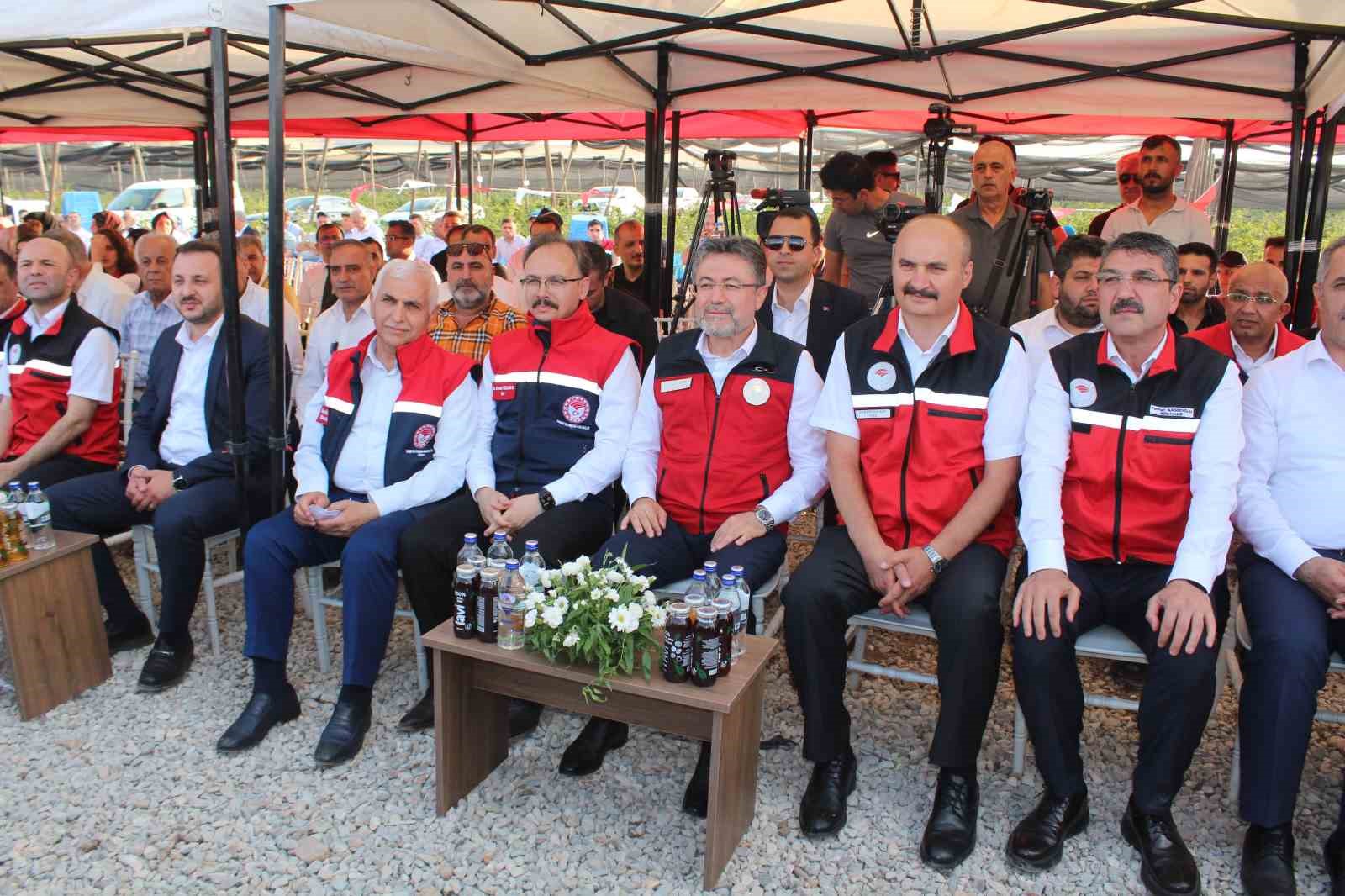 Bakan Yumaklı, Siirt’te böğürtlen hasadına katıldı 