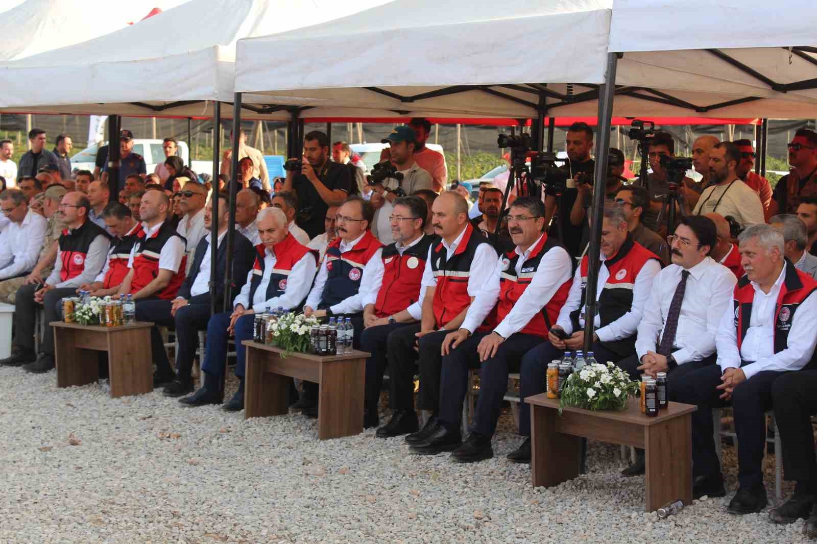Bakan Yumaklı, Siirt’te böğürtlen hasadına katıldı 