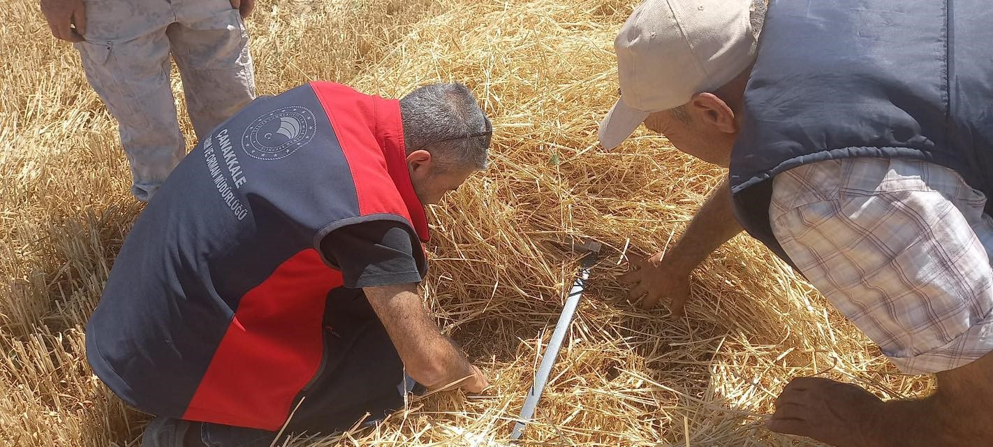 Çanakkale’de anız ve orman yangınlarına karşı tarım makinaları denetleniyor 