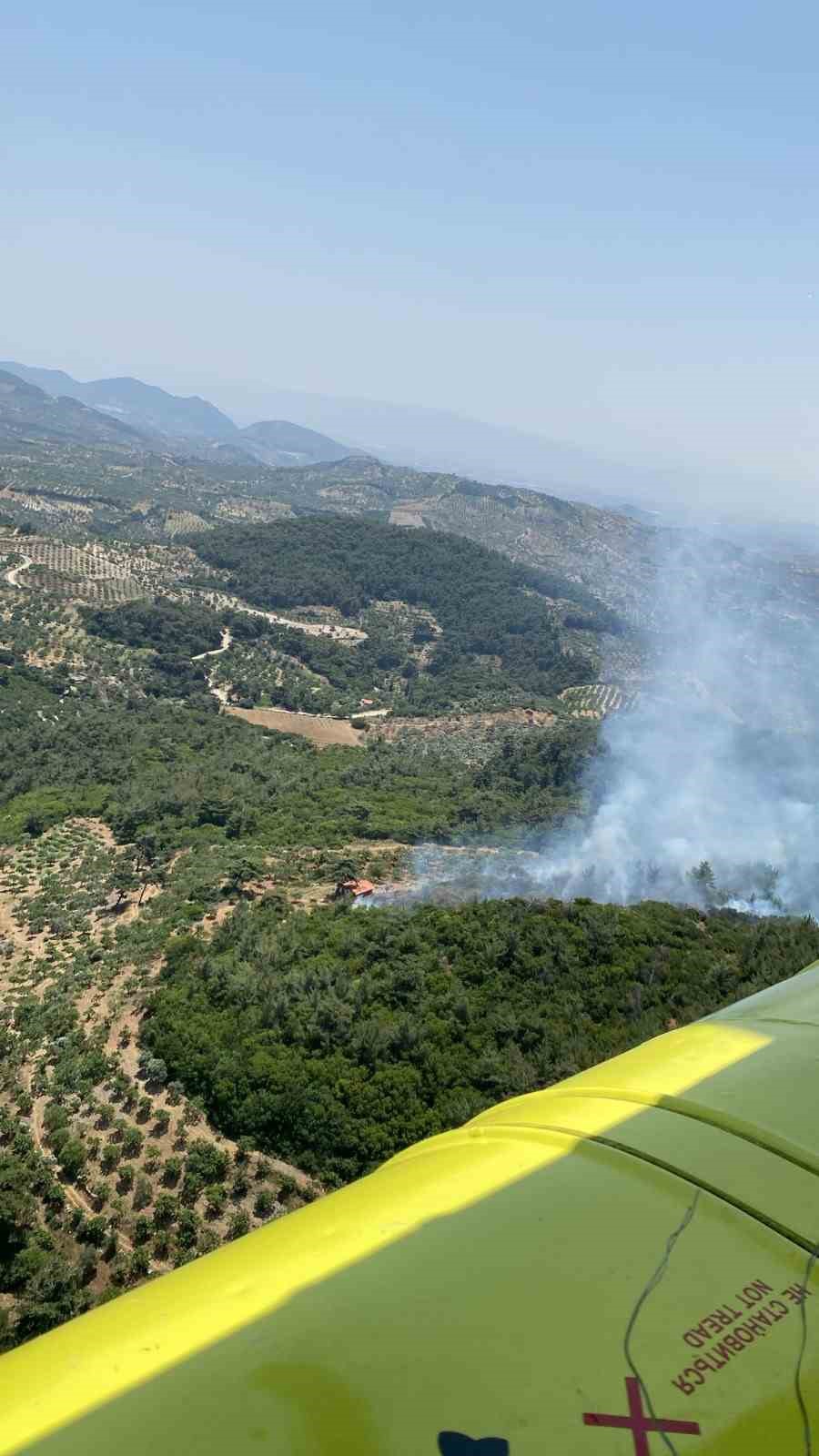 Germencik’te orman yangını 