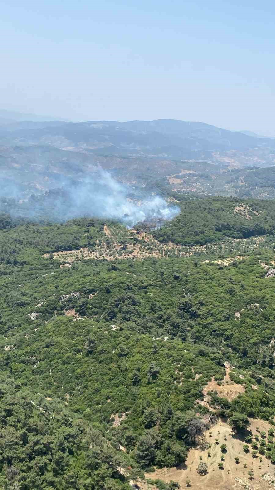 Germencik’te orman yangını 
