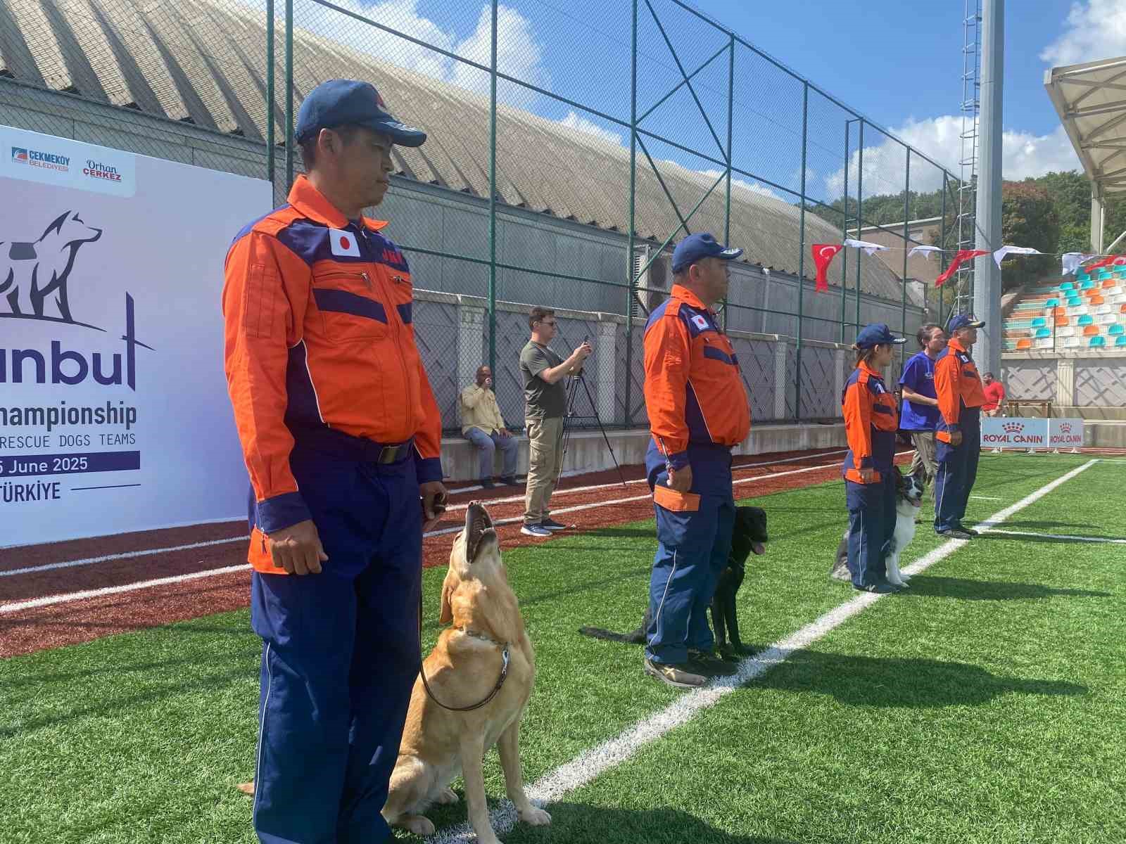 9 ülkeden 27 arama kurtarma köpeği İstanbul’daki şampiyonada yarıştı 