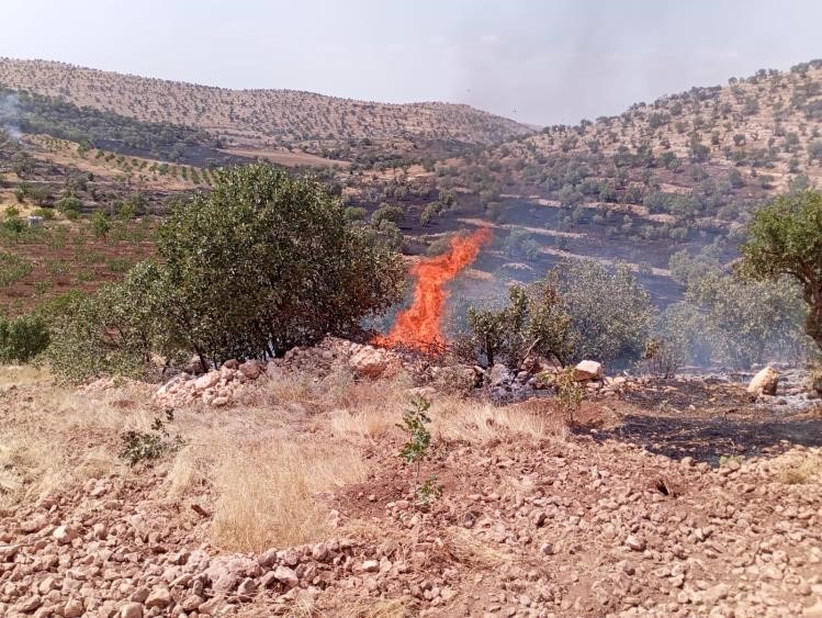 Mardin’de çıkan anız ve orman yangınları söndürüldü 