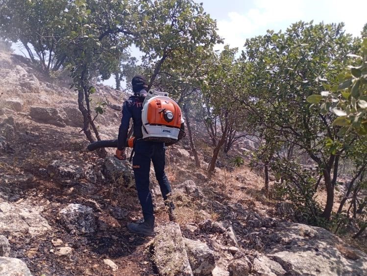 Mardin’de çıkan anız ve orman yangınları söndürüldü 
