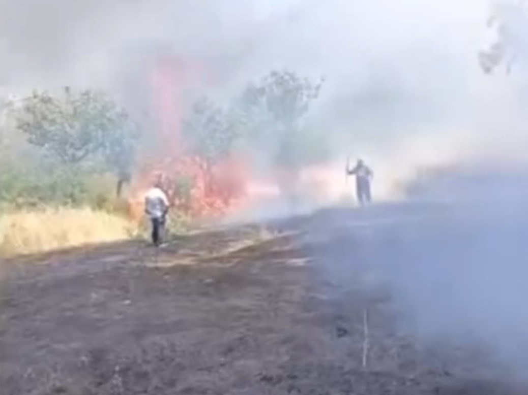 Siirt’te çay için yakılan ateş fıstık ağaçlarını küle çevirdi