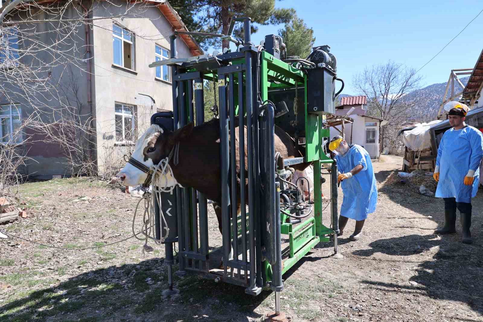 Büyükşehir’den tarım ve hayvancılığa can suyu 