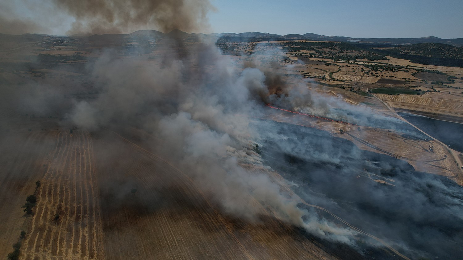 Kula’da ekili arazide büyük yangın