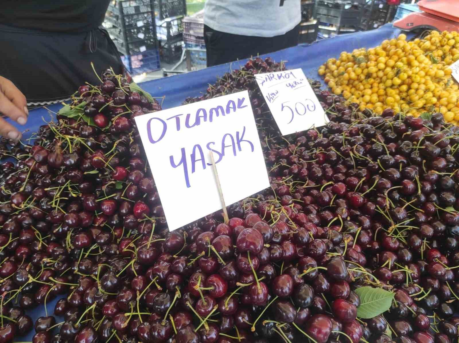 Kiraz Festivali’nde tezgahlardaki ’otlamak yasaktır’ yazısı tepki çekti 