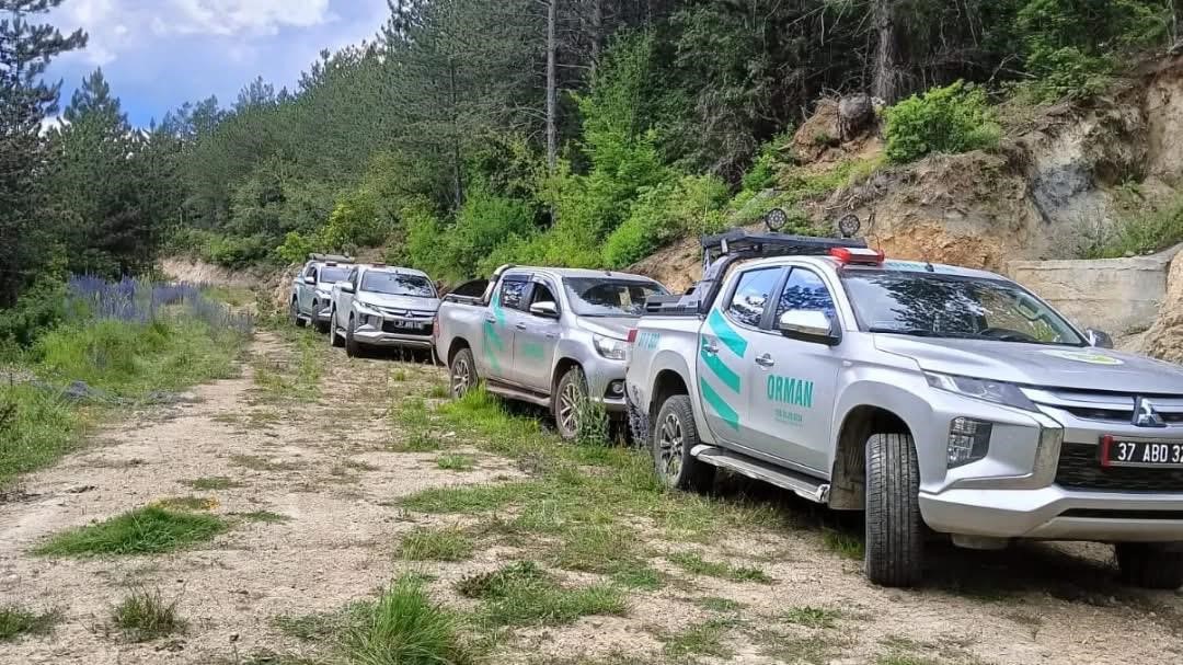 Kastamonu’da çıkan orman yangını büyümeden söndürüldü 