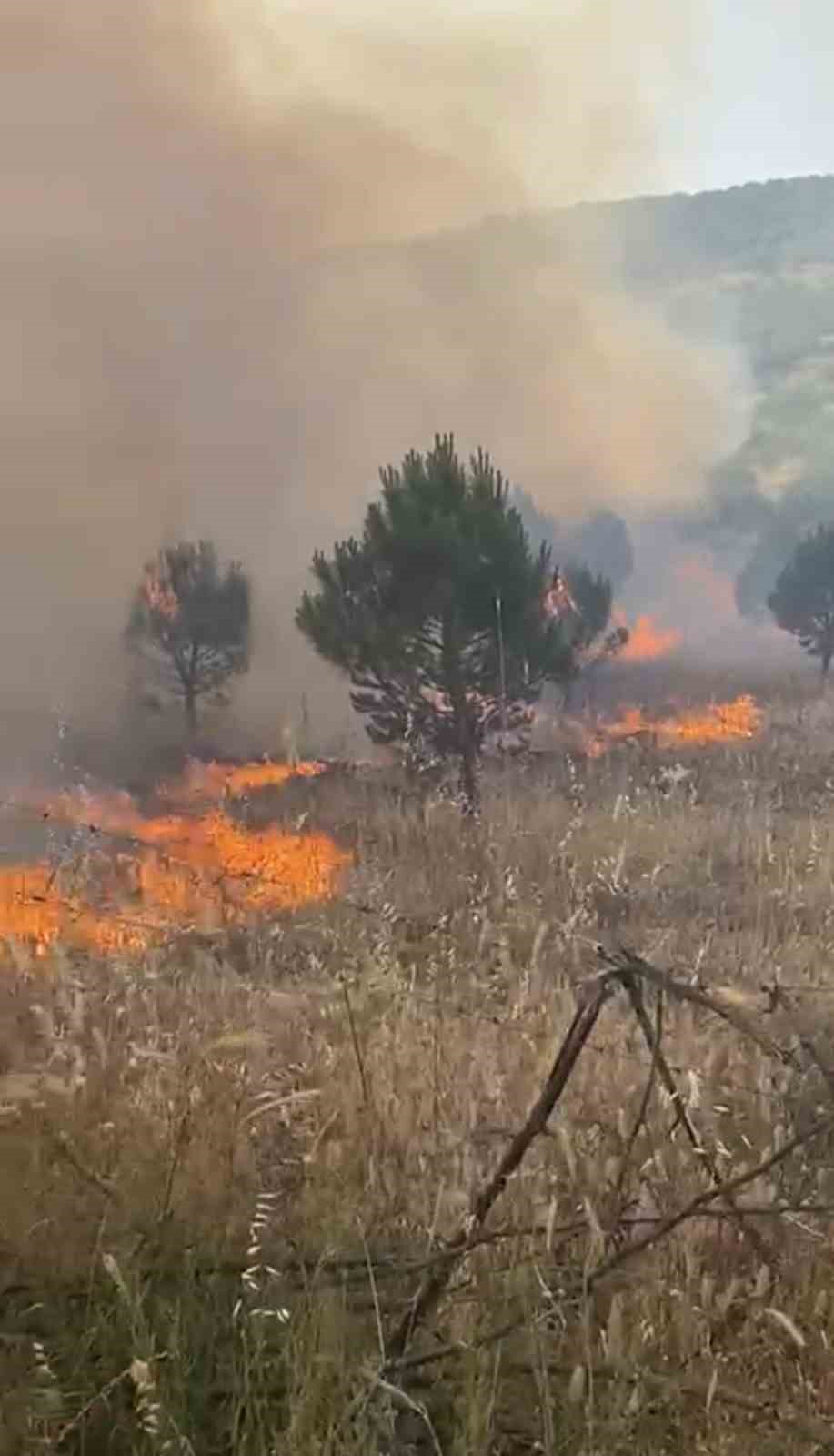 Balıkesir’de meralık alanda yangın 