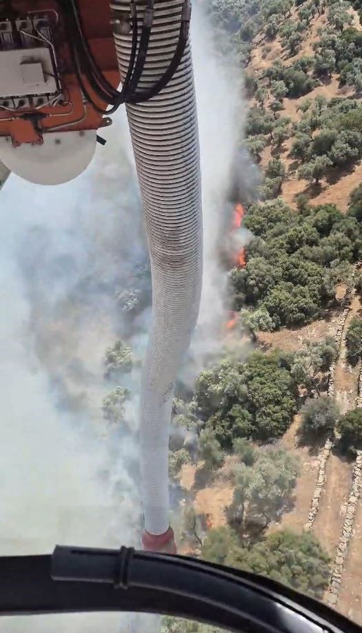 Söke’deki yangın kontrol altına alındı 