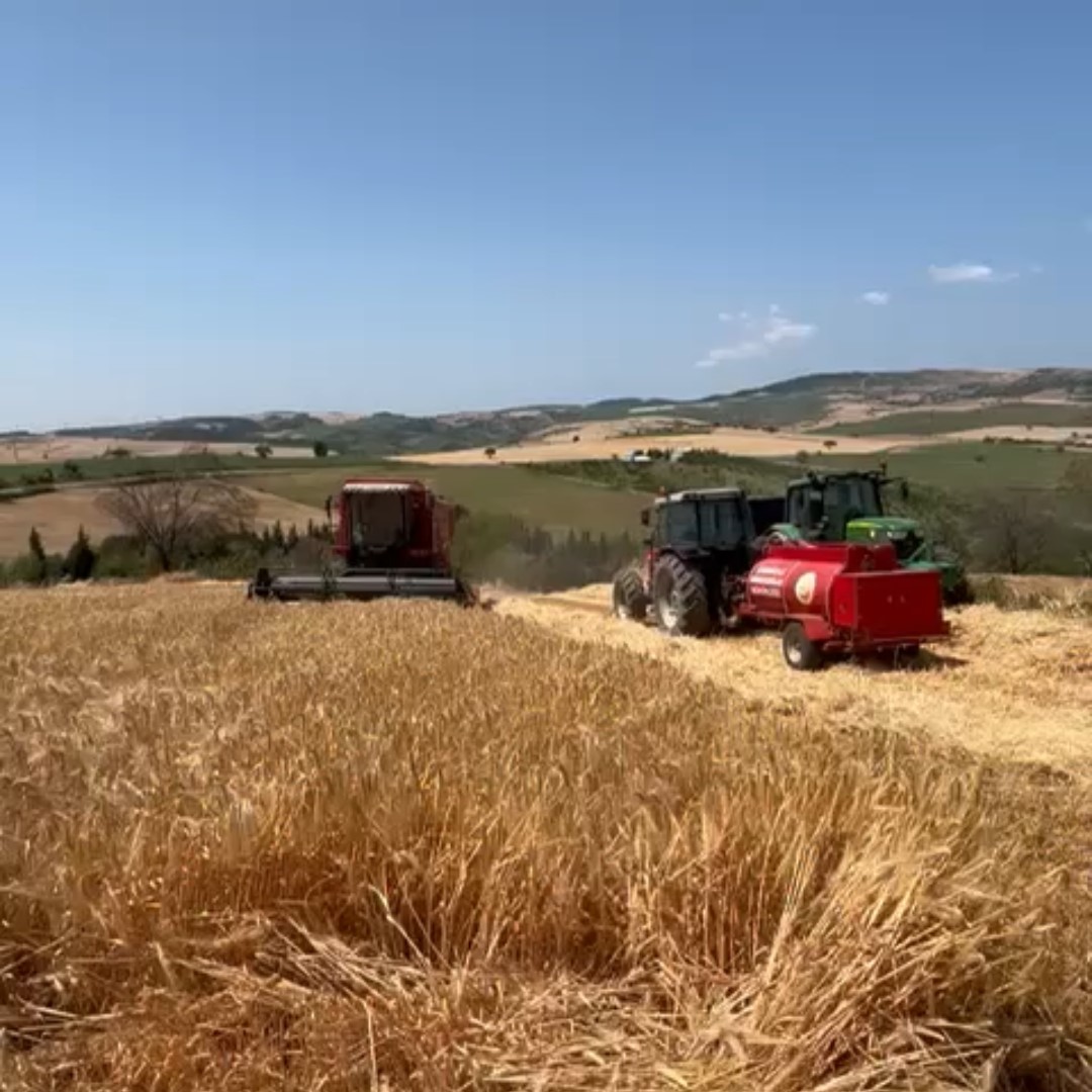 Anız yangınlarına karşı tarlalarda hazır su tankları bekliyor 