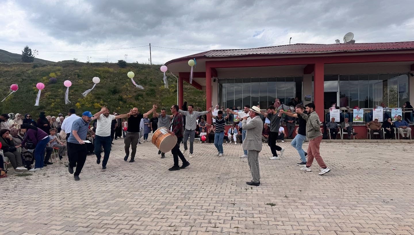 Demirözü’nde ‘Kuşburnu Çiçeği Festivali’ düzenlendi 